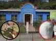 Polémica en Escuela Chile España de Concepción por ataque de perros a estudiante: Forman parte de un programa de canoterapia para apoyar a niños con TEA