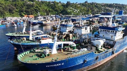 Pesquera Alimar demanda al Estado de Chile por implementación de la Ley de Fraccionamiento: Pide compensación de US$140 millones