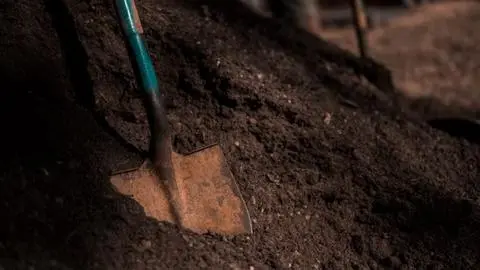 Hallan 34 fetos enterrados en el jardín de la casa de una doctora en Polonia: Investigan si los tenía para “realizar experimentos”