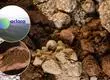 Cumplimiento ambiental y medidas de mitigación: las razones del SEA para respaldar proyecto de tierras raras