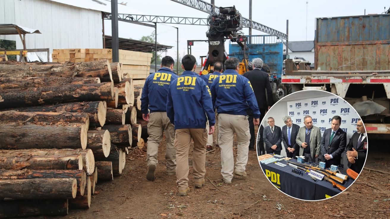Megaoperativo en Ñuble acaba con 17 detenidos: desarticulan red criminal dedicada al robo de madera