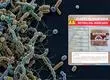 Alertan por bacteria peligrosa en alimento vendido en centro sur de Chile: piden no consumir lote afectado de su marca