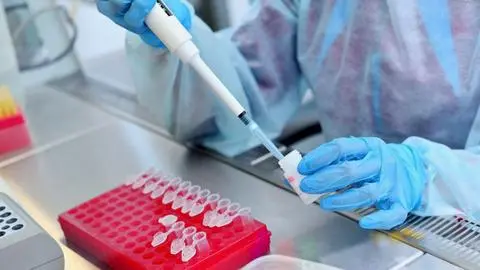 Imagen de Inmunoterapia para cáncer: El nuevo debate científico entre activar o reconstruir el sistema inmune