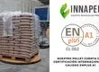 Quiebra Innapel, empresa de pellets originaria de Talcahuano