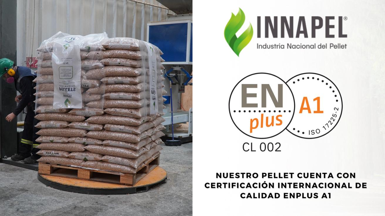 Quiebra Innapel, empresa de pellets originaria de Talcahuano