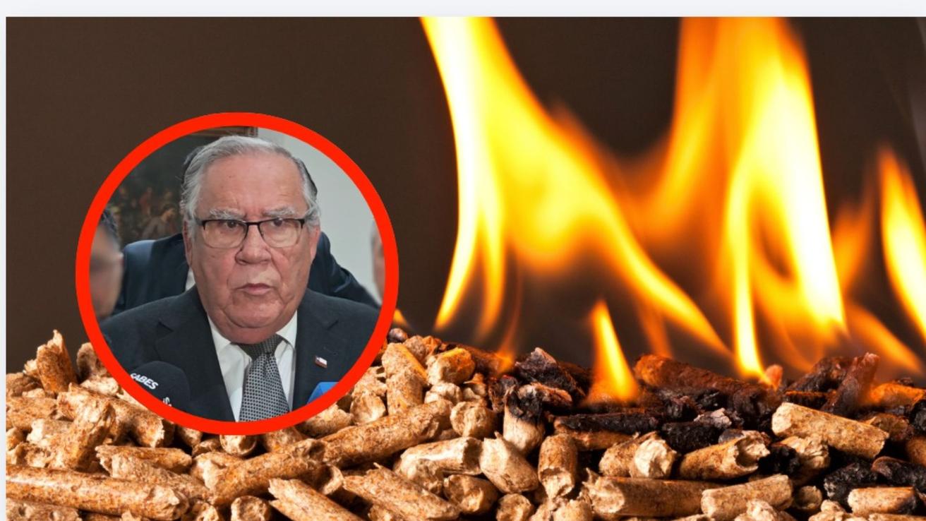 “Es algo circunstancial”: Ministro de Agricultura por cierre de Innapel por falta de materia prima