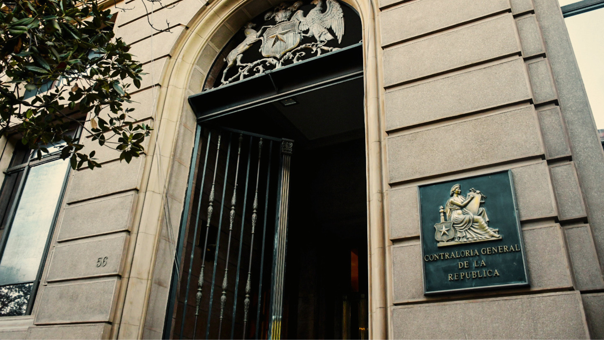 Contraloría detecta irregularidades en recursos destinados a bienestar animal en municipios y anuncia fiscalización en Subdere