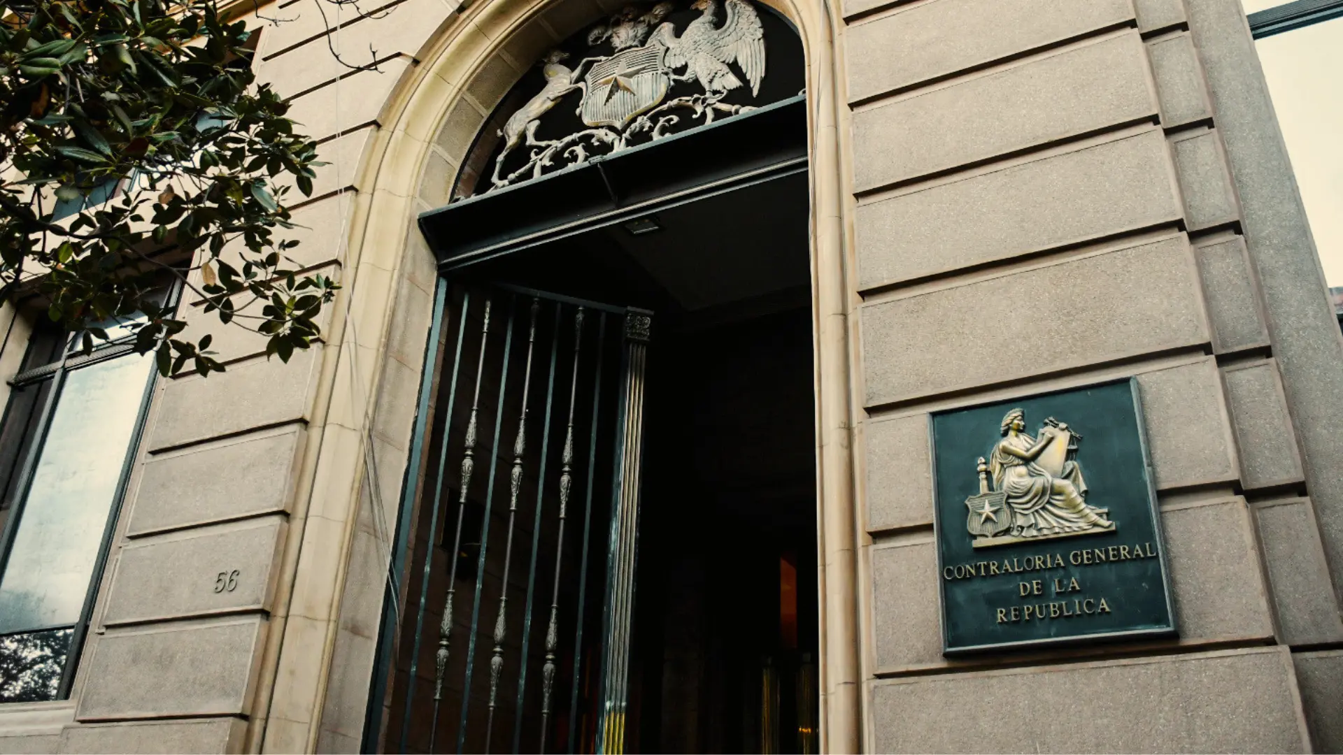 Contraloría detecta irregularidades en recursos destinados a bienestar animal en municipios y anuncia fiscalización en Subdere