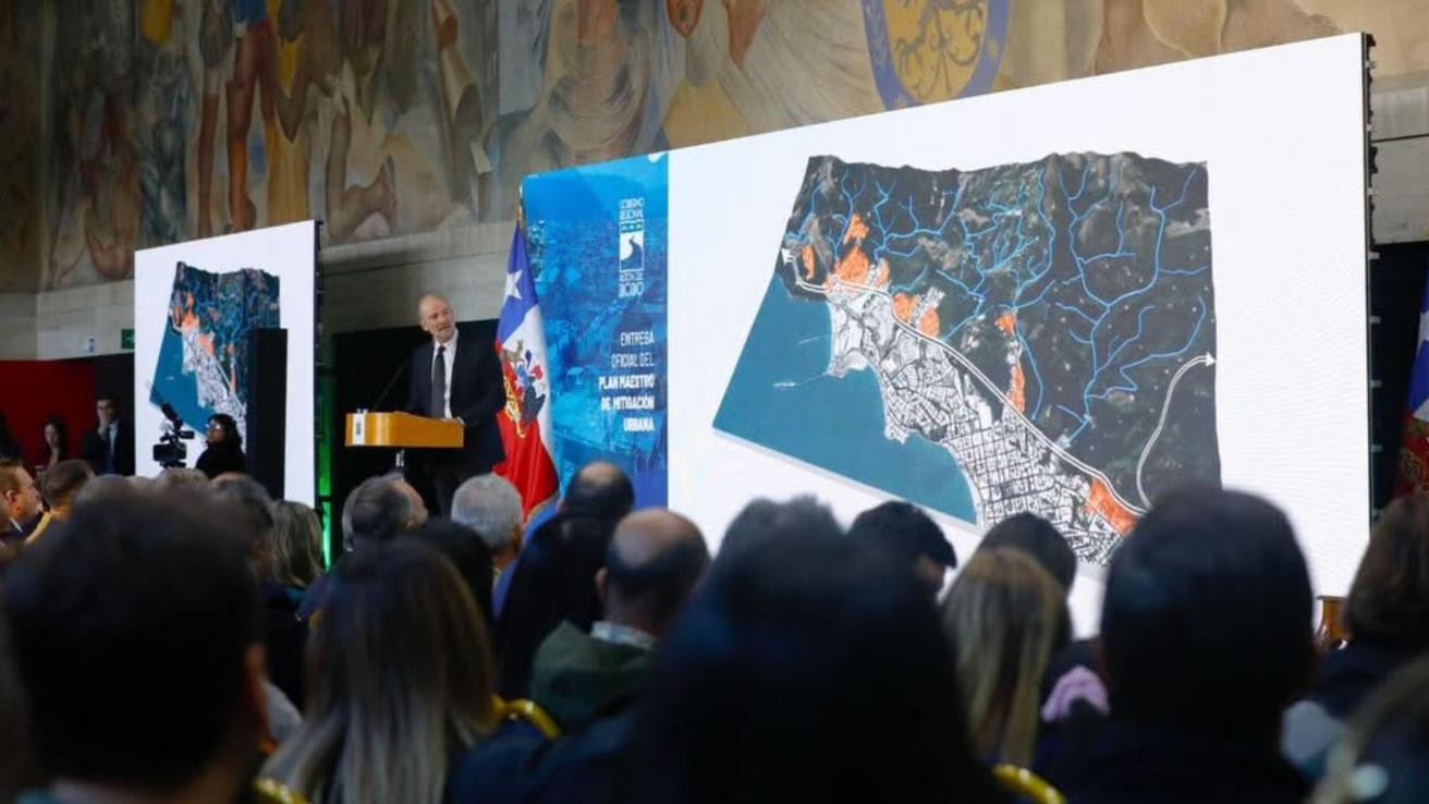 Humedales cumplirán rol clave en el plan para prevenir incendios como los que afectaron a Lirquén