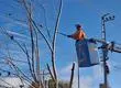 Confirman cortes de luz en tres comunas del Gran Concepción para el jueves 25 de junio
