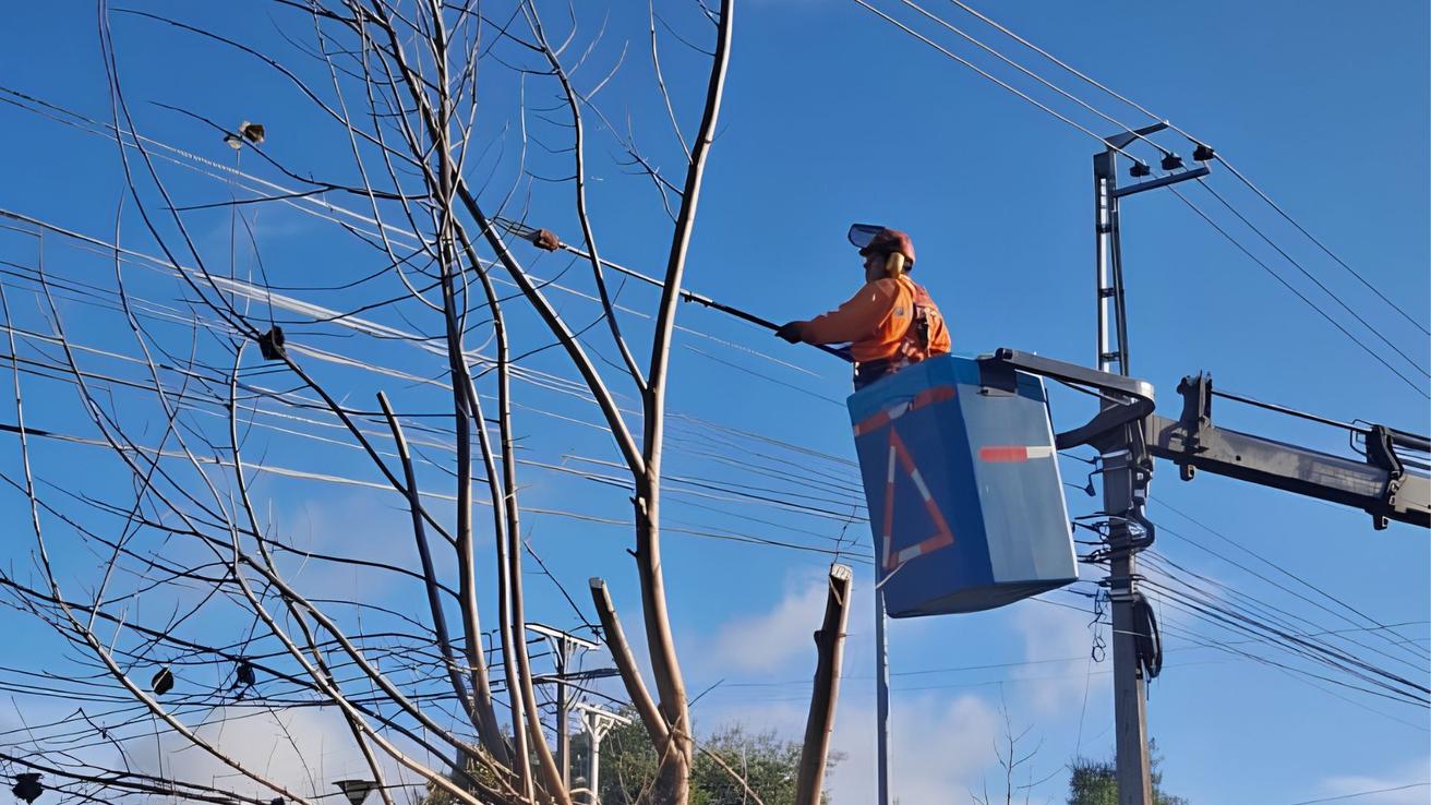 Confirman cortes de luz en tres comunas del Gran Concepción para el jueves 25 de junio