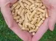 Energía descarta desabastecimiento de pellet tras cierre de Innapel: Ecomas aumentará producción