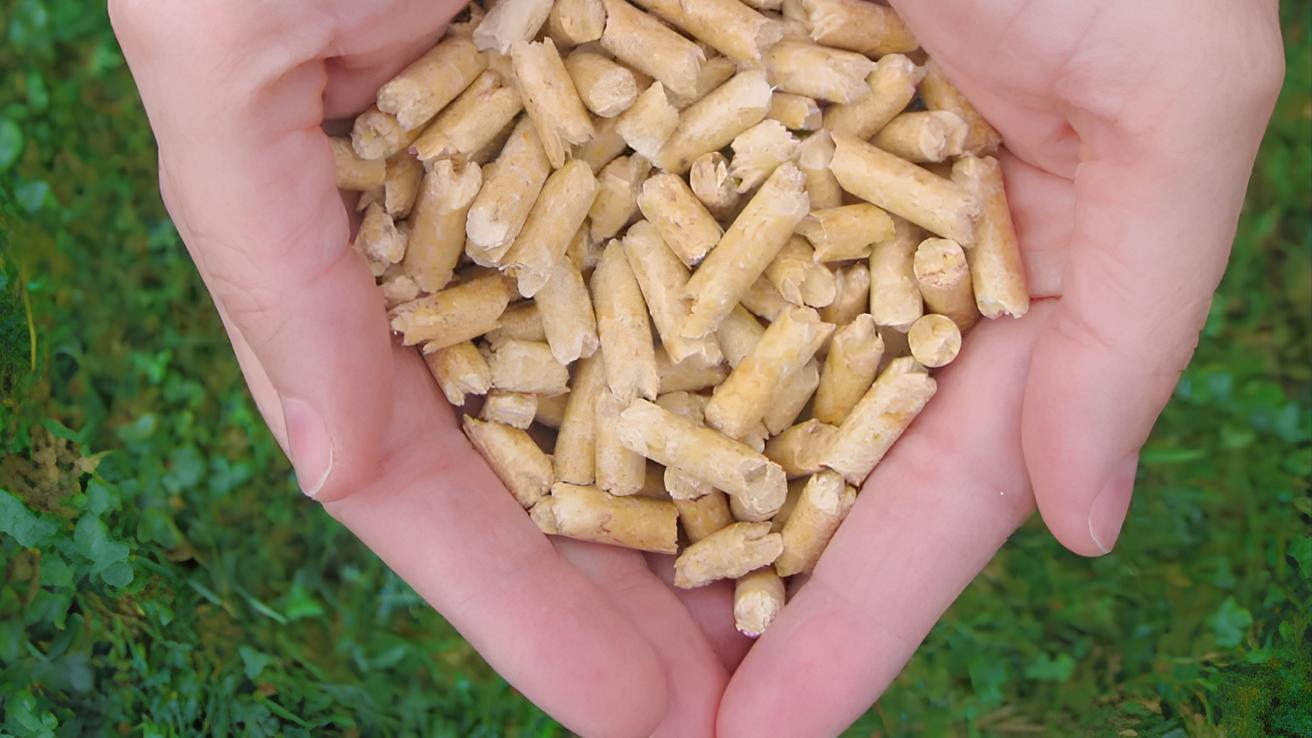 Energía descarta desabastecimiento de pellet tras cierre de Innapel: Ecomas aumentará producción