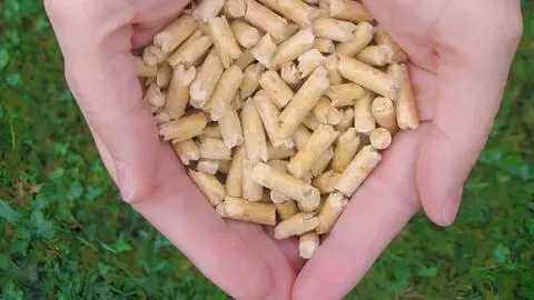 Energía descarta desabastecimiento de pellet tras cierre de Innapel: Ecomas aumentará producción