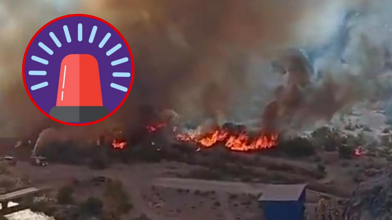 Decretan Alerta Roja en Vicuña por violento incendio forestal fuera de control