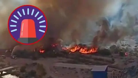 Imagen de Decretan Alerta Roja en Vicuña por violento incendio forestal fuera de control