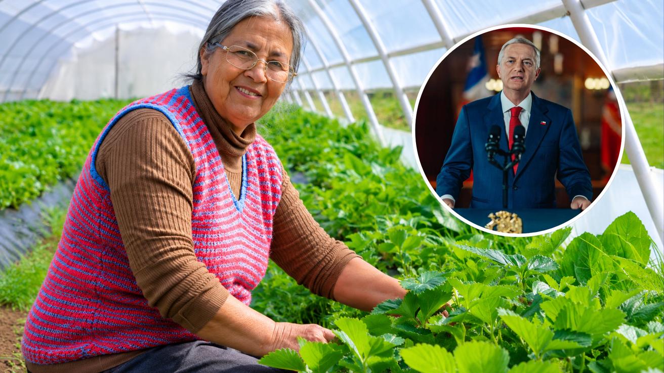 “Una decisión aberrante”: Cierre del programa Mujeres Rurales genera críticas por impacto en beneficiarias y falta de información
