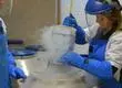 Bioforest abre sus laboratorios para acercar la ciencia forestal a estudiantes