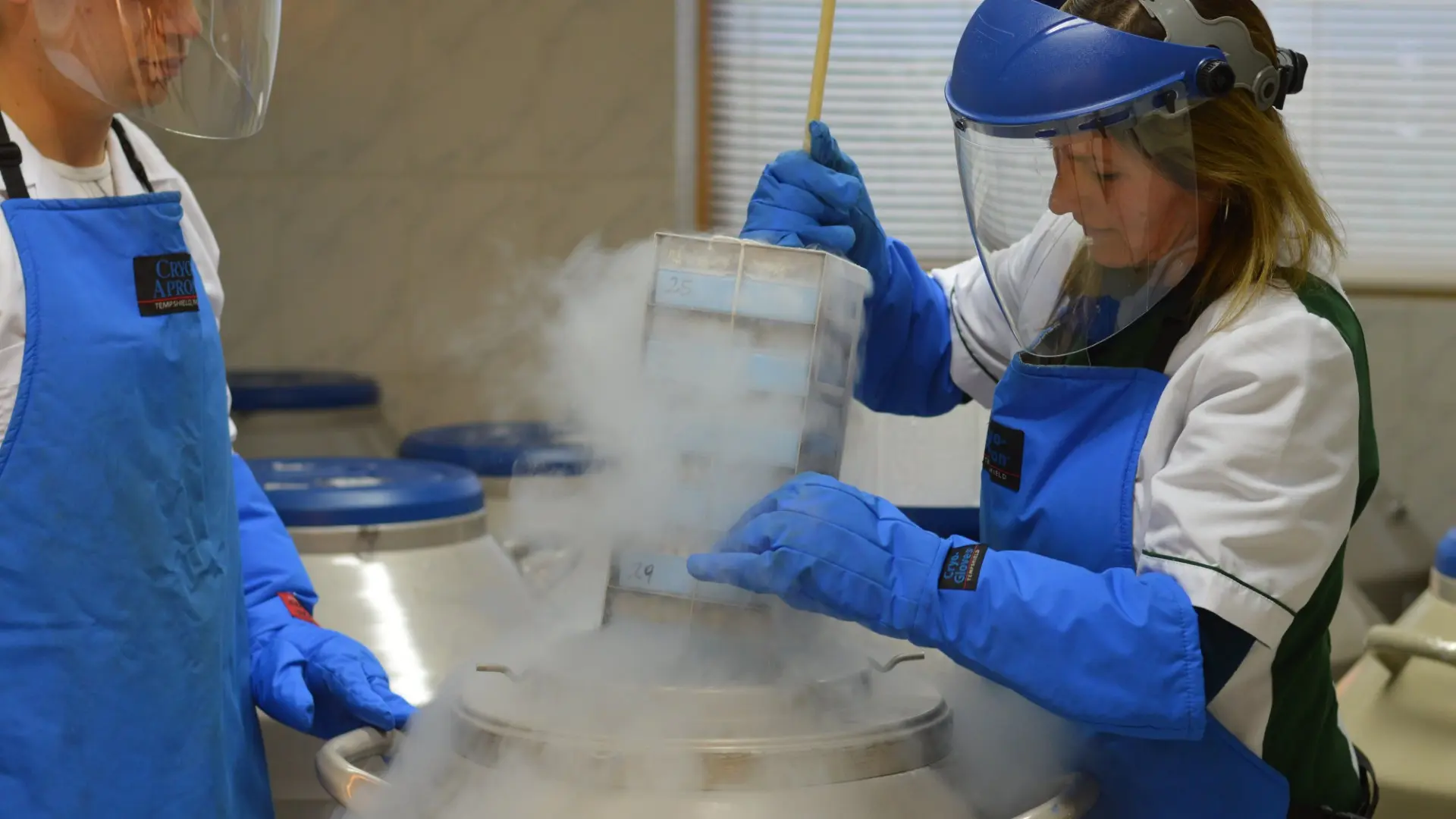 Imagen de Bioforest abre sus laboratorios para acercar la ciencia forestal a estudiantes