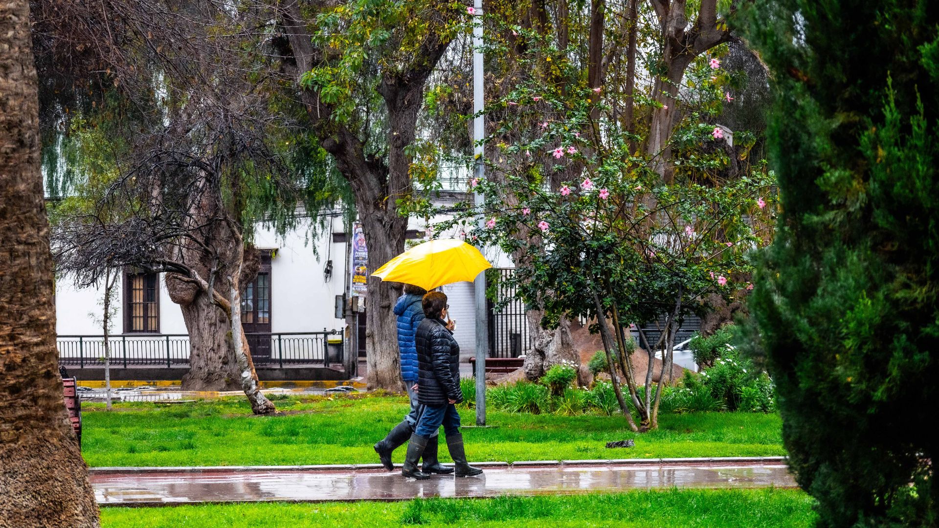 Zona centro-sur comienza a salir de la emergencia: quinto sistema frontal pierde fuerza y anticipan nuevo evento para el jueves