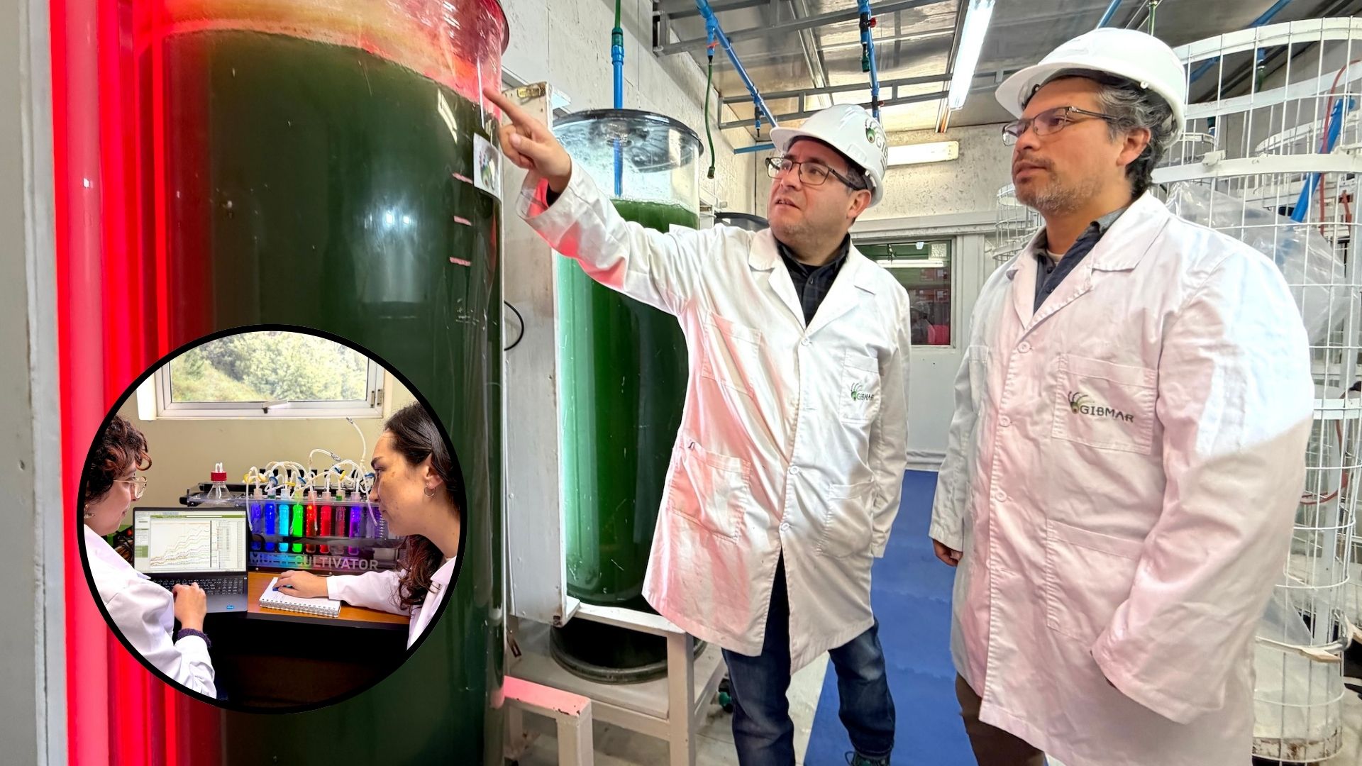 Descubren en Concepción una microalga que podría ayudar a reparar la piel dañada por el sol
