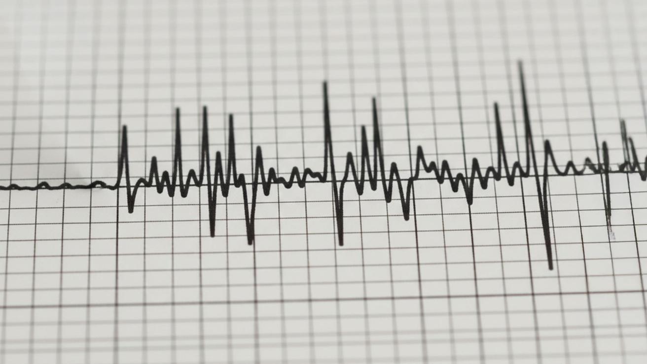 Temblor con un fuerte ruido se percibe en el Biobío: Epicentro y magnitud