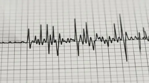 Temblor con un fuerte ruido se percibe en el Biobío: Epicentro y magnitud
