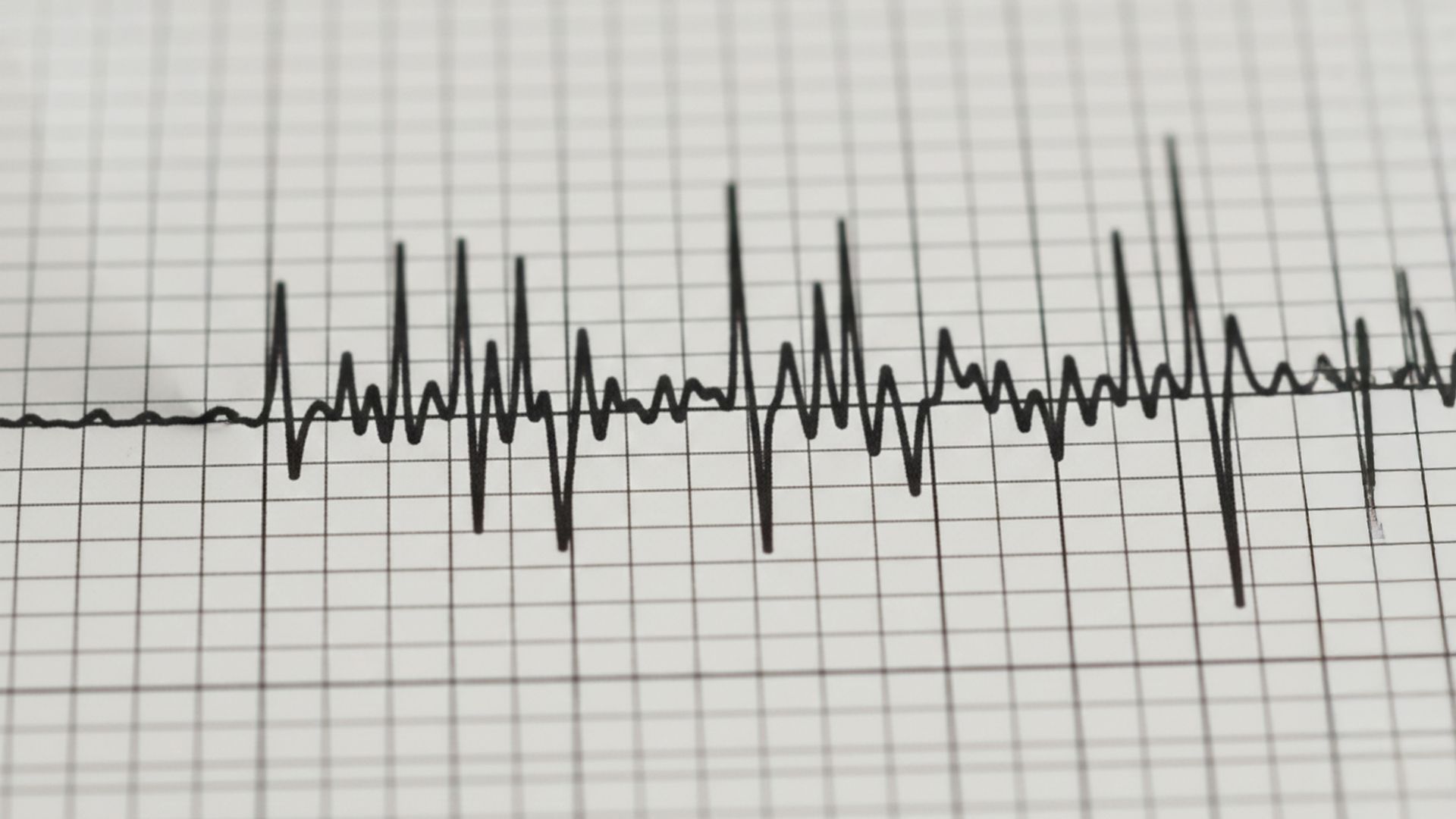 Temblor con un fuerte ruido se percibe en el Biobío: Epicentro y magnitud