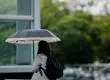 ¿A qué hora comienza la lluvia en el Gran Concepción? Miércoles será la jornada más intensa por río atmosférico