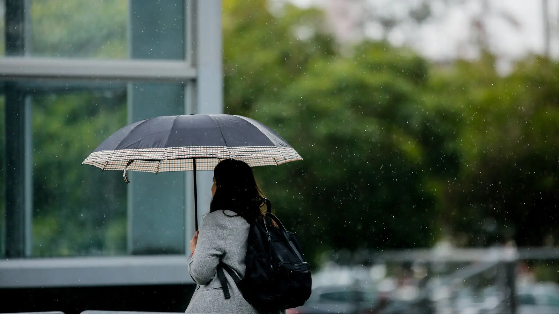¿A qué hora comienza la lluvia en el Gran Concepción? Miércoles será la jornada más intensa por río atmosférico