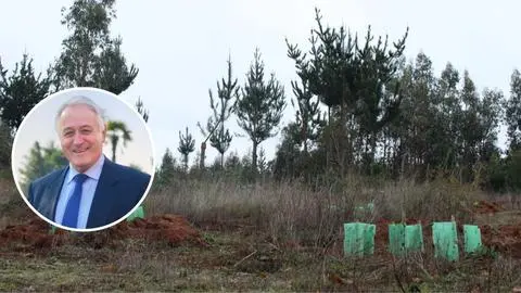 Detallan cómo es la llegada de migrantes para la temporada de cosechas en el Biobío