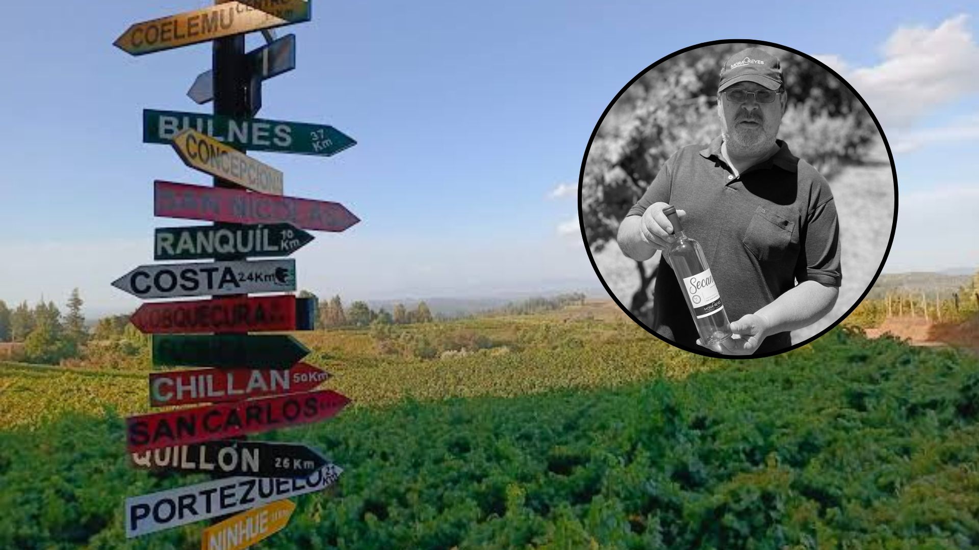 Luto en el mundo del Vino: Fallece destacado impulsor del rubro vitivinícola en Valle del Itata