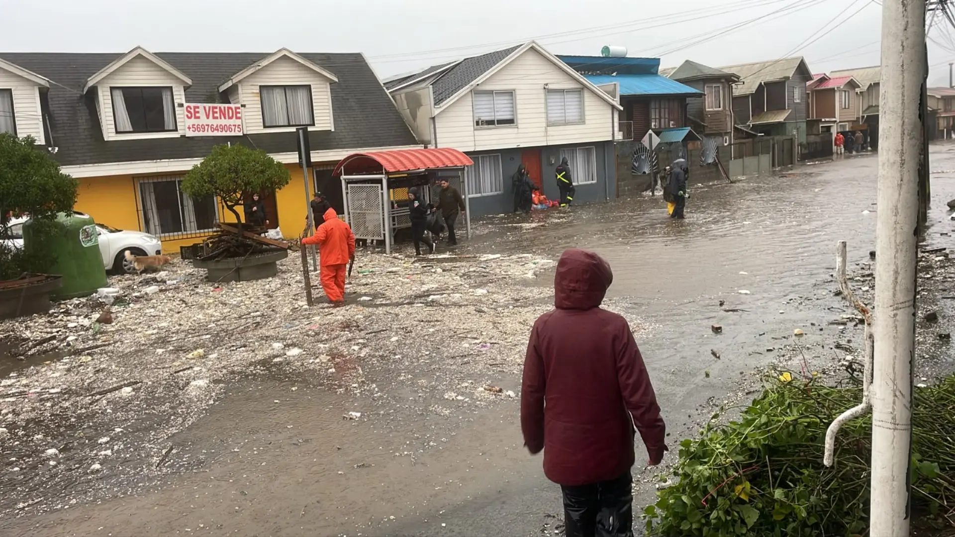 Se activa Alerta SAE en Penco: Ordenan evacuar borde costero por subida del mar