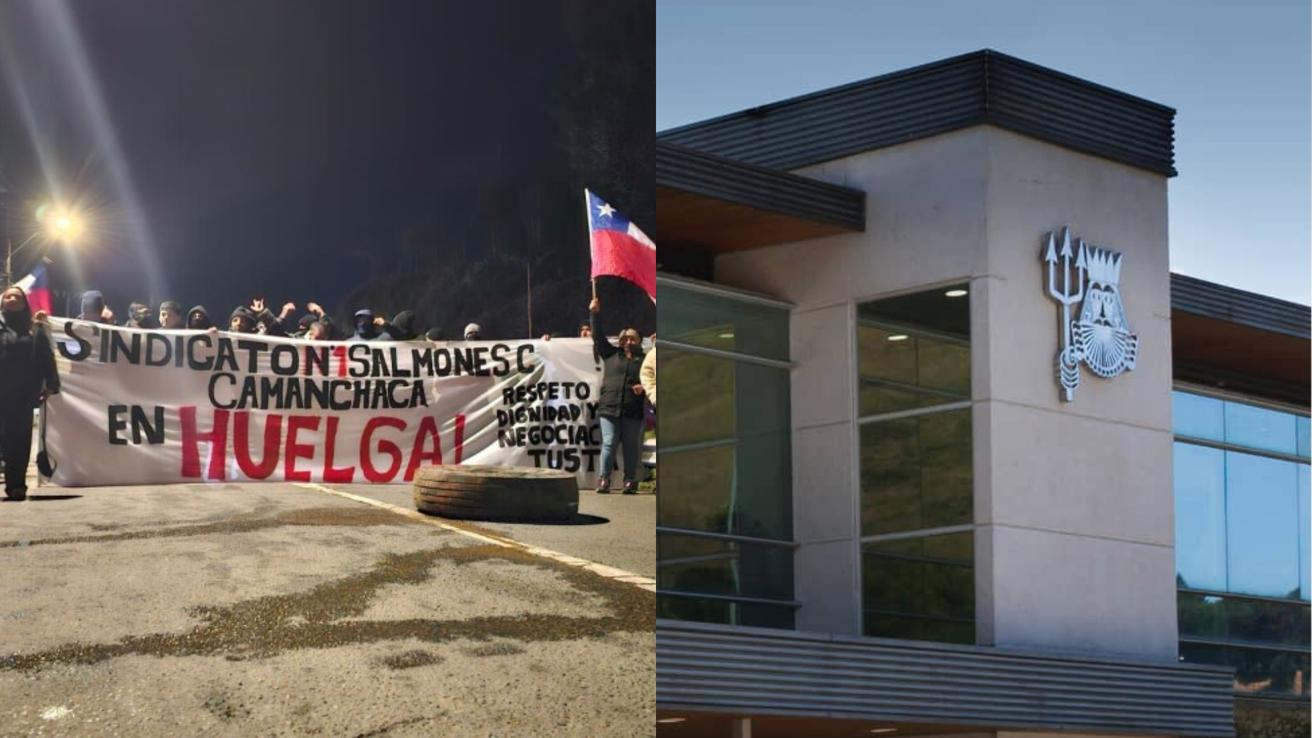 Salmones Camanchaca llega a acuerdo con sindicato de trabajadores y da por finalizada la huelga legal