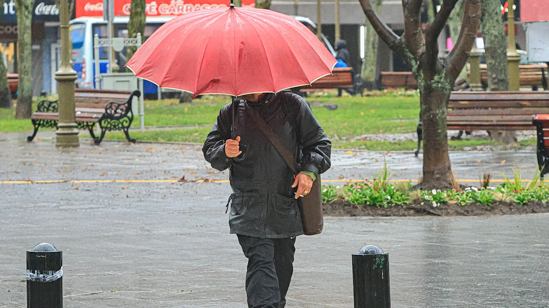 Fuertes vientos y lluvias dejan 113 casas con daños y 71 mil clientes sin luz en el Biobío