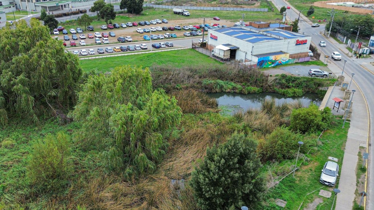 Municipalidad de Concepción insistirá ante Corte Suprema por revisión de evaluación ambiental de proyecto en Humedal Paicaví