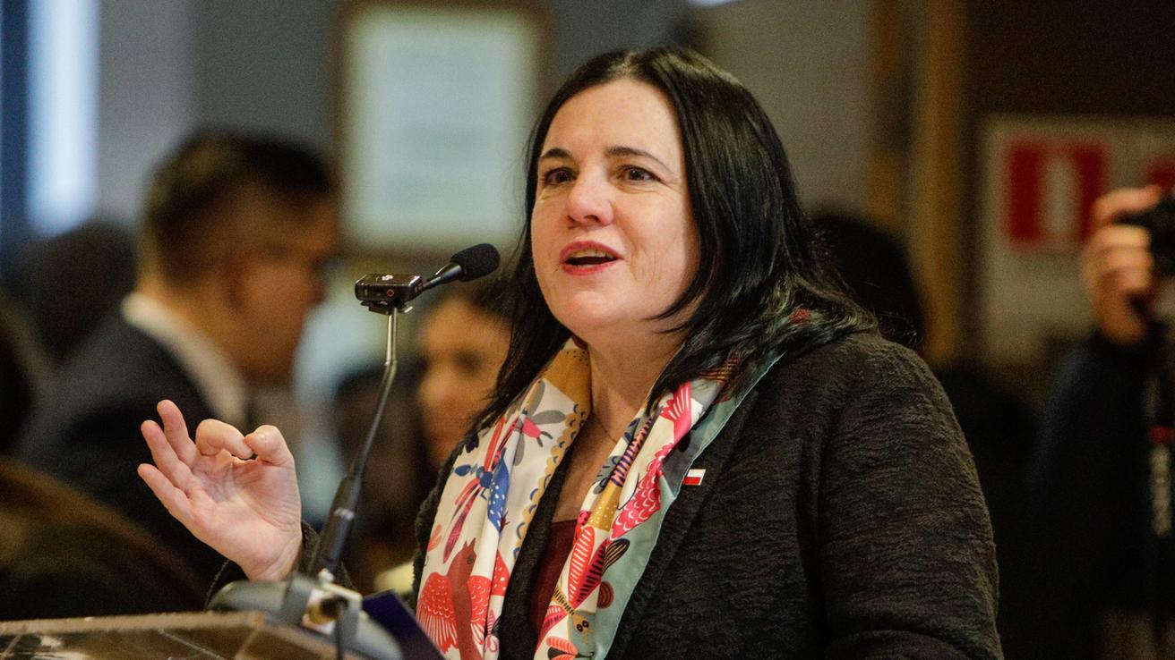 Gobierno evalúa el regreso de Trinidad Steinert con un cargo en el exterior