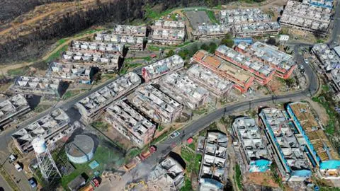 Imagen de Gobierno afirma que todos los afectados por incendios forestales en el Biobío tienen vivienda de emergencia