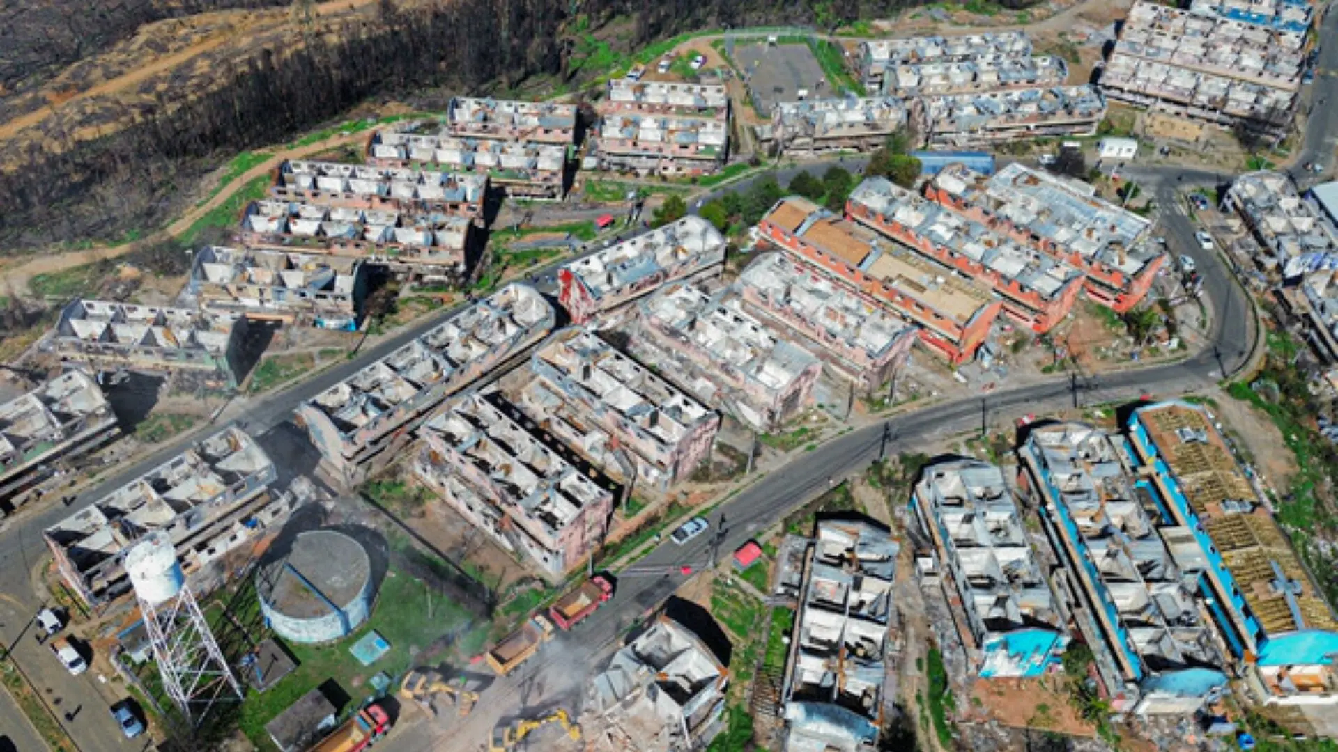 Gobierno afirma que todos los afectados por incendios forestales en el Biobío tienen vivienda de emergencia