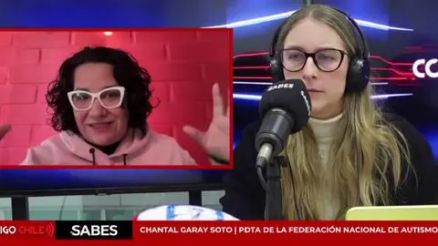 Desafíos en la implementación de la Ley de Autismo: Cuestionan capacidad de profesionales de la salud para el diagnóstico