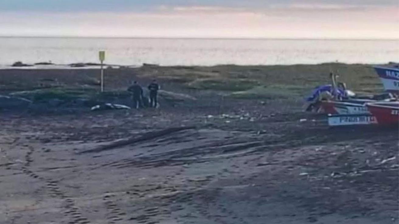 Cuerpo hallado en la costa de Coronel corresponde a exconcejal de Los Álamos investigado por loteo