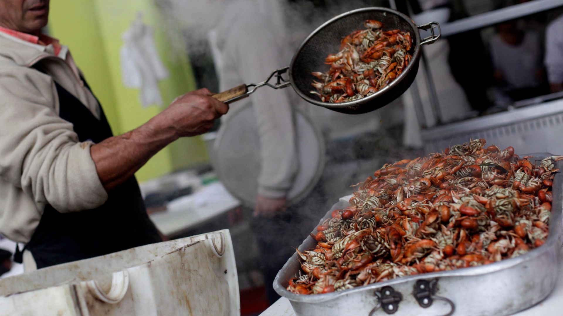 Fiestas del camarón llegan a la provincia de Concepción para celebrar las costumbres del campo