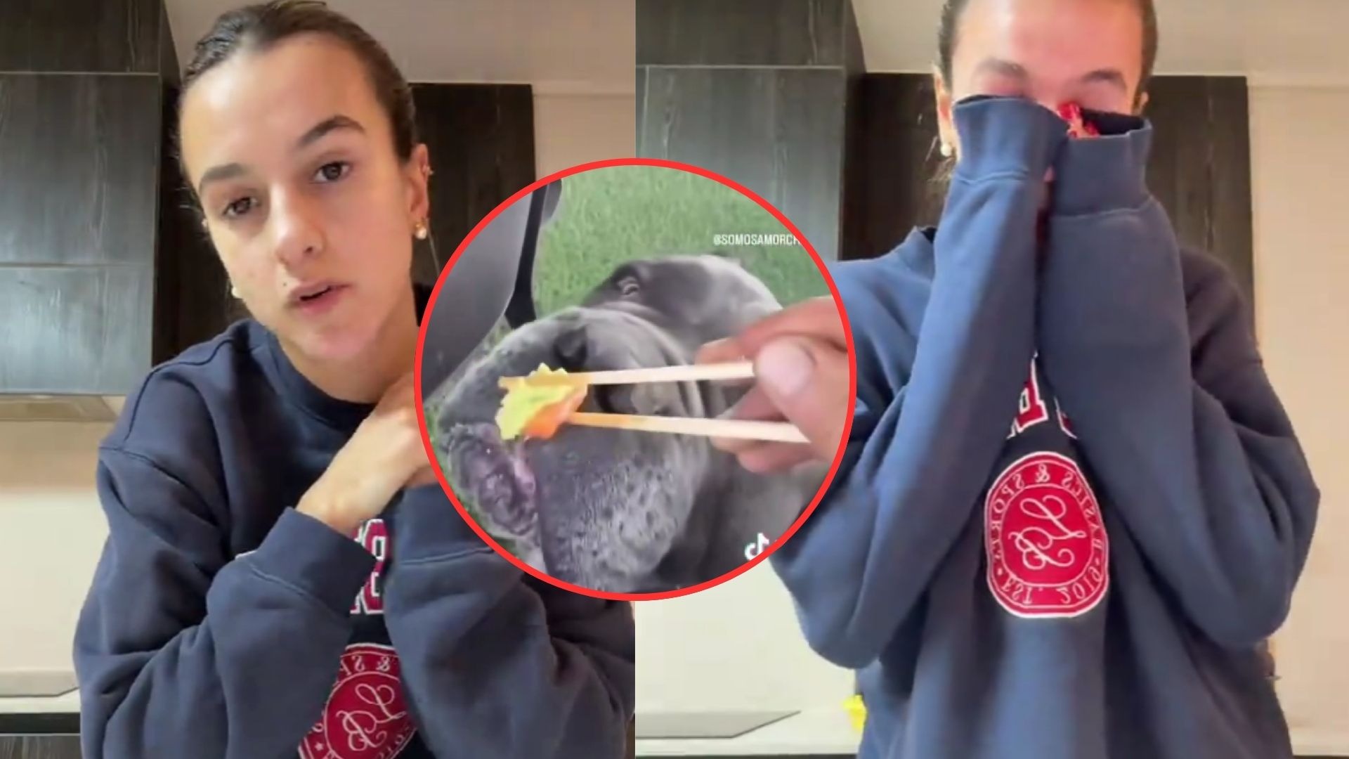 Influencer Josefa Sáez se justifica tras video dándole wasabi a su perro: “Usan palabras como maltratadores”