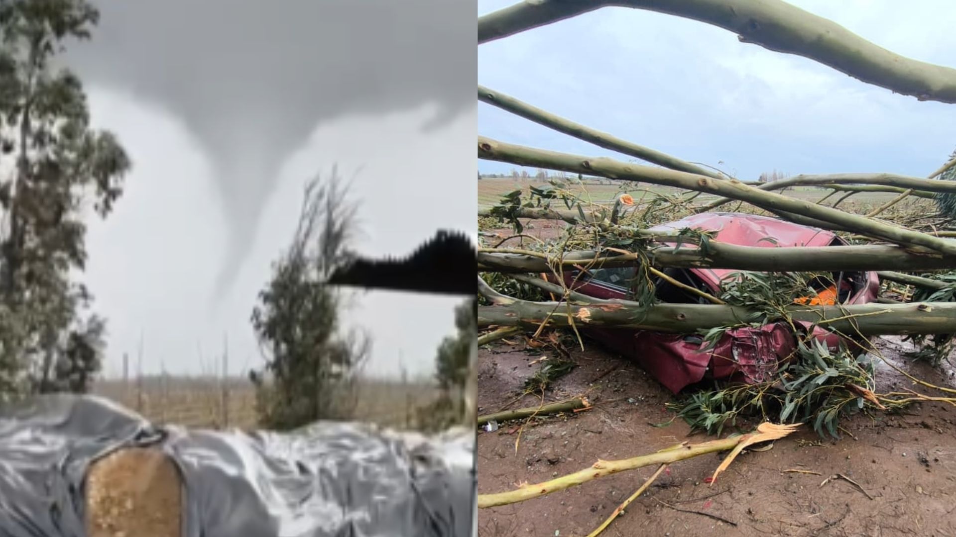 Meganoticias y DPR Ñuble