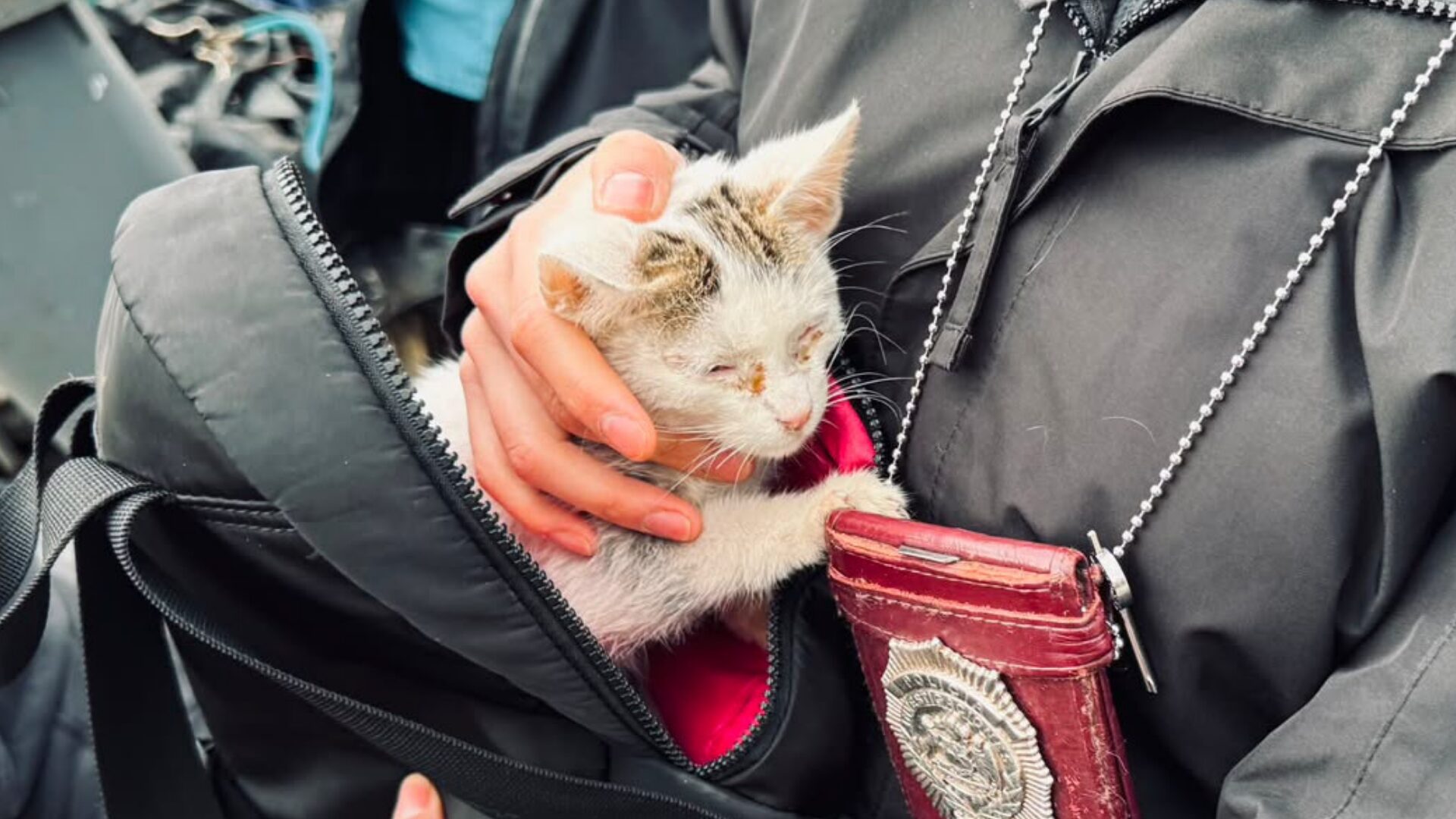 Mujer es detenida por maltrato animal: mantenía a un perro y un gato en “condiciones incompatibles con su bienestar”