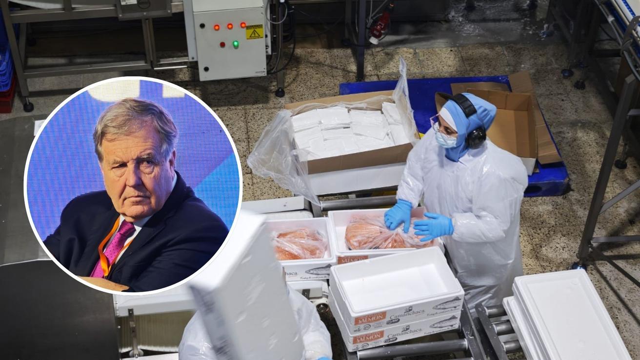 Más de la mitad del Salmón chileno se exporta por el Biobío: SalmónChile destaca relevancia de la región
