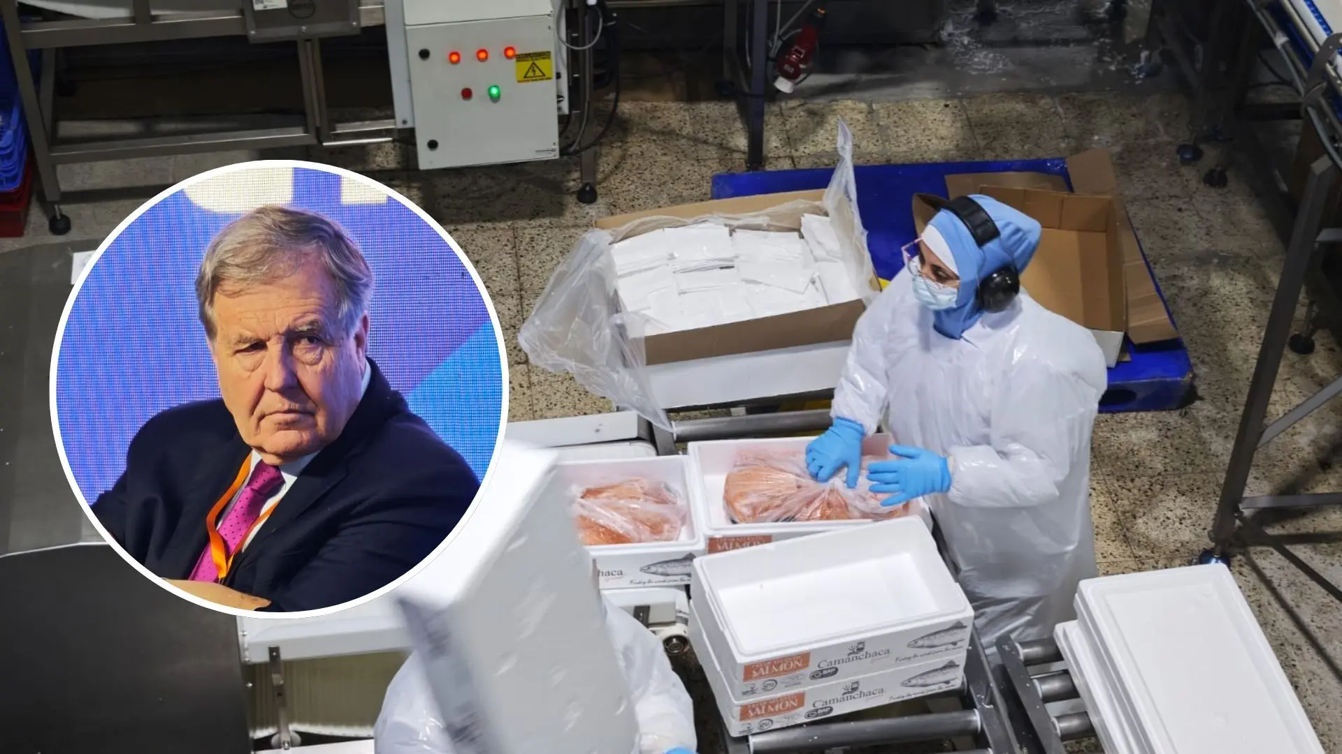Más de la mitad del Salmón chileno se exporta por el Biobío: SalmónChile destaca relevancia de la región