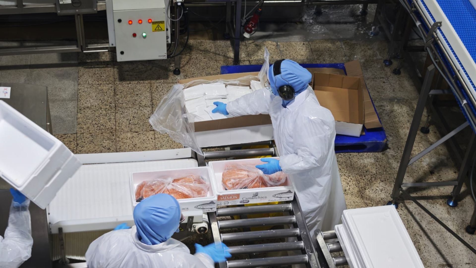 Biobío: El nuevo factor clave en la industria del Salmón