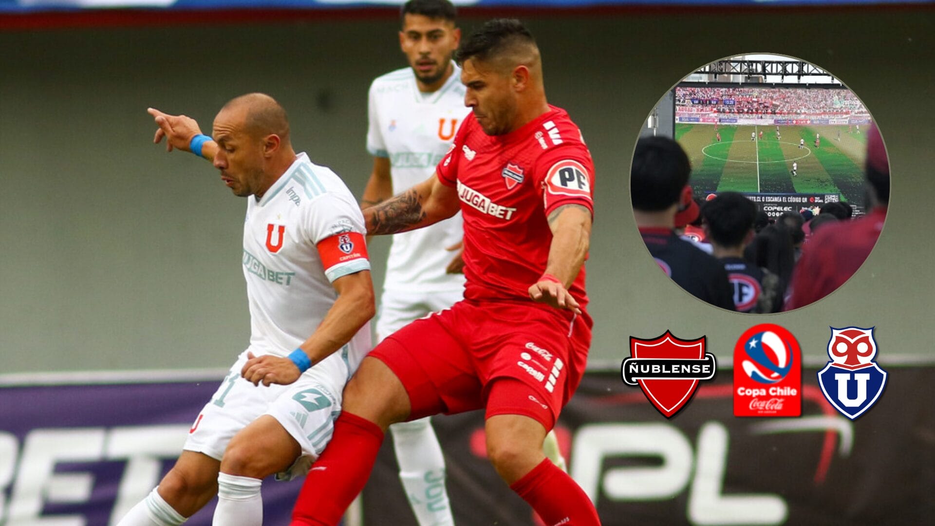 Chillán se prepara para la final de Copa Chile: Hinchas de Ñublense podrán ver el partido en pantalla gigante