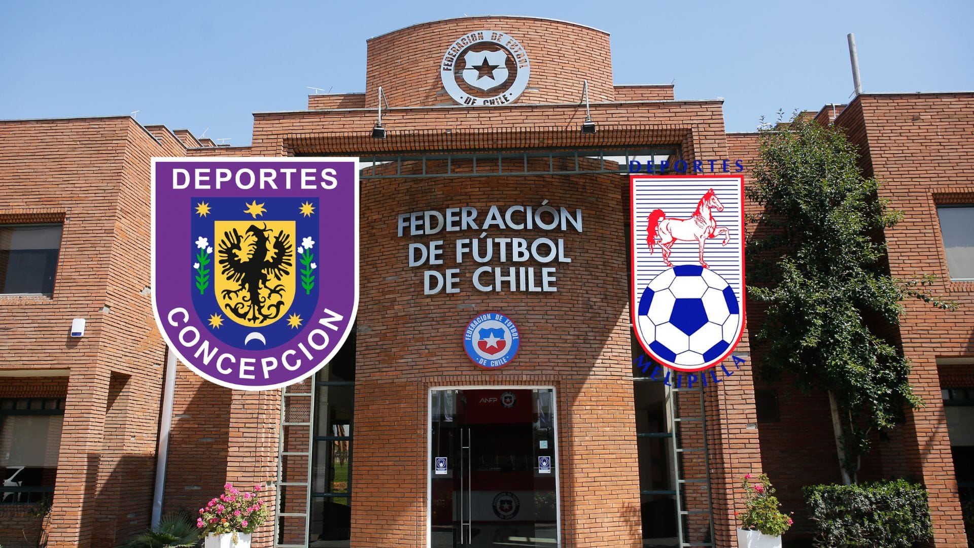 Tras fallo de la Primera Sala: el antecedente que ilusiona a Deportes Concepción